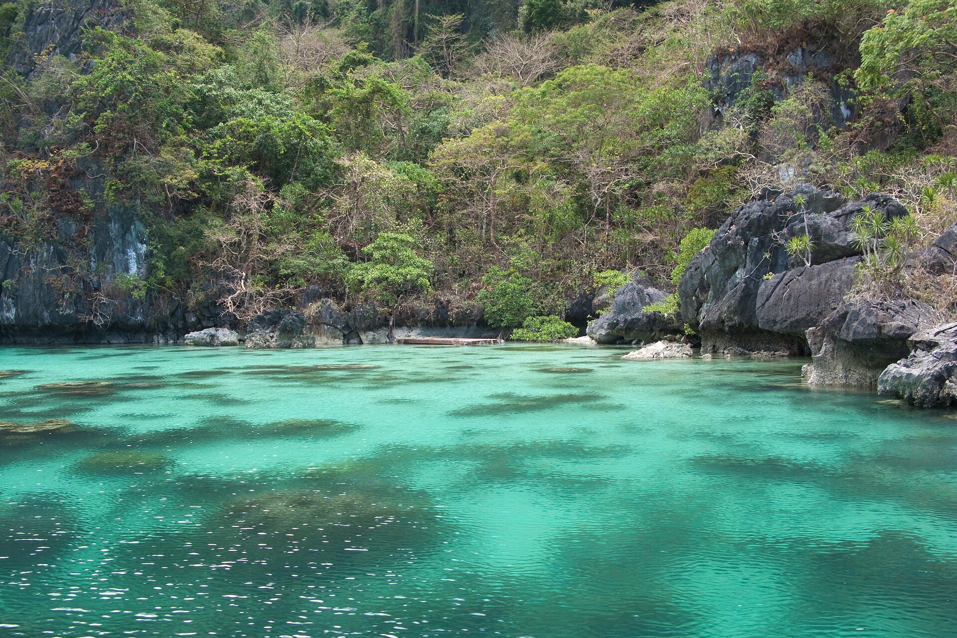 Palawan