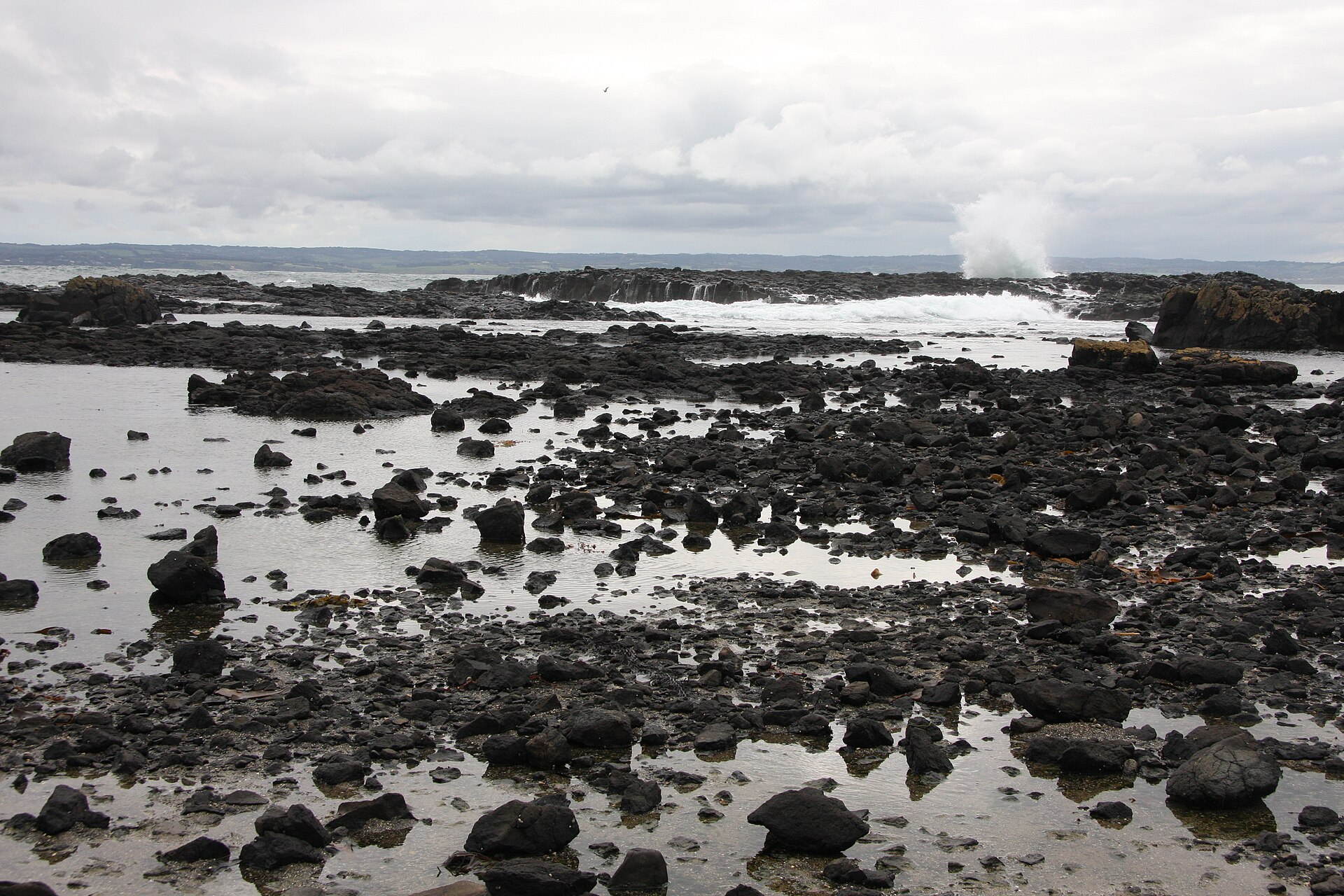 Cowrie Island