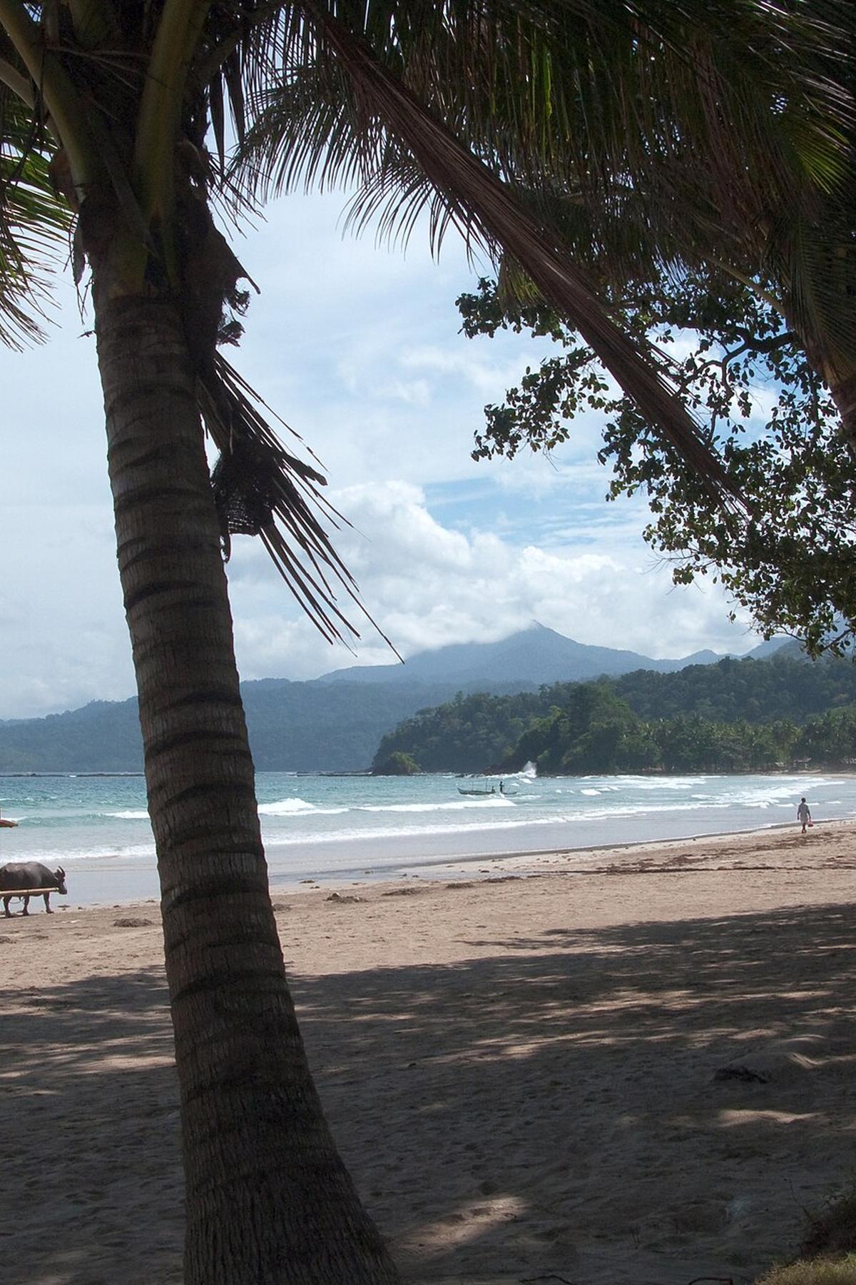 Palawan van