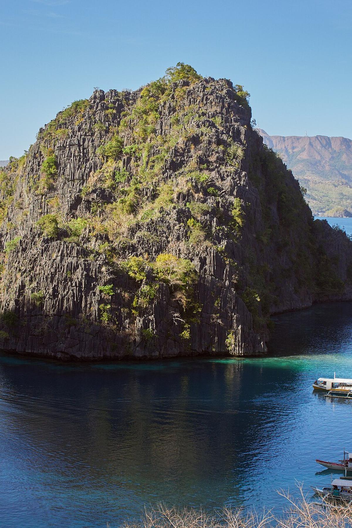 Coron Island limestone